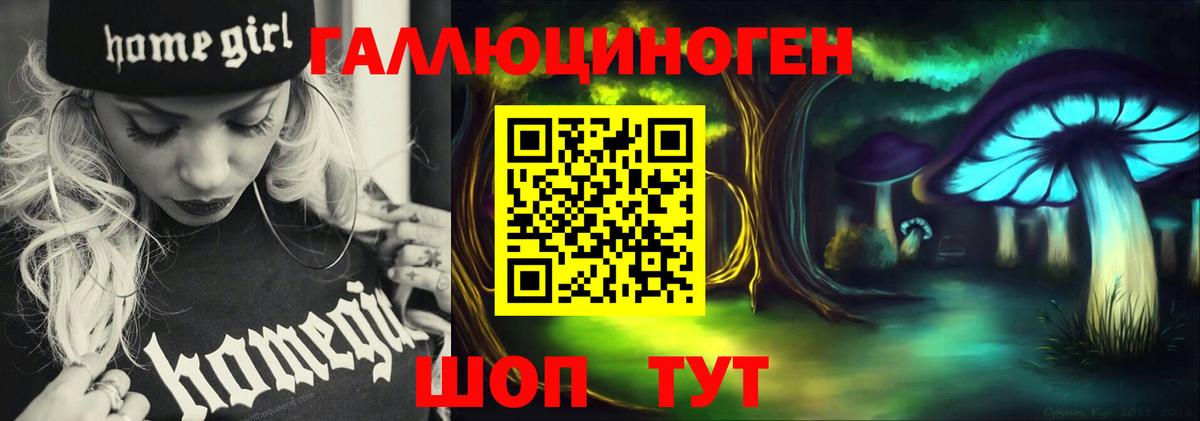 Псилоцибиновые грибы MAGIC MUSHROOMS  Вход с VPN  Чернушка 